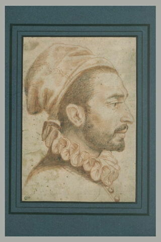 Tête d'homme, de profil, portant moustache et barbe, image 1/1