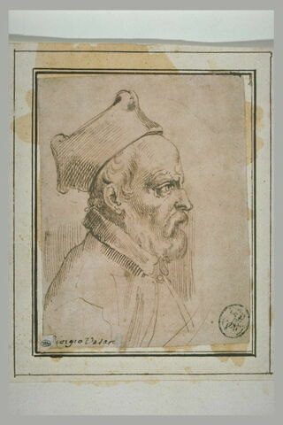Tête d'homme barbu, de profil, vers la droite, image 1/1