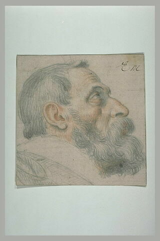 Tête d'homme barbu, de profil, regardant vers le haut, image 1/1