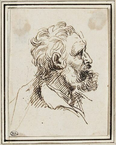 Tête d'homme barbu, de profil, tournée vers la droite, image 1/3