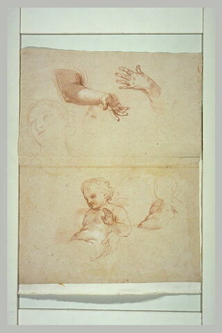 Deux enfants, sur les genoux d'une figure, et deux avant-bras, image 1/1