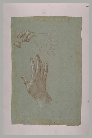 Quatre doigts d'une main gauche tenant un objet, et main droite, image 1/1