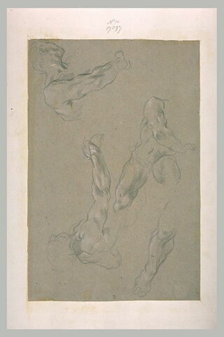Bras, épaules, tête, corps et jambe d'hommes, image 1/1