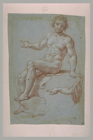 Jeune homme nu, assis, étude pour un saint, et bras tendu vers la gauche, image 1/1