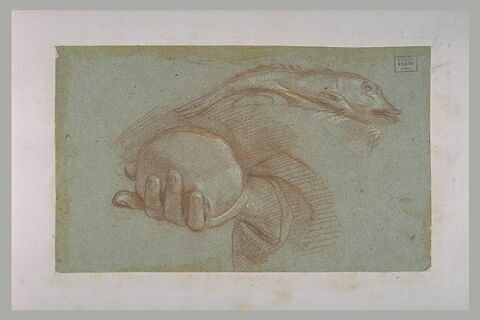 Etude d'un poisson et d'une main tenant une pierre, image 1/1
