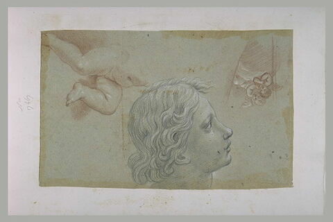 Etude d'une tête de profil, de deux jambes d'un enfant et de deux angelots, image 1/1