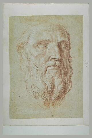 Etude d'une tête ou d'un masque d'homme barbu, image 1/1