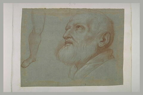 Etude d'une jambe droite et d'une tête d'homme, de profil vers la gauche, image 1/1