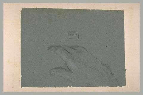 Etude d'une main droite, vue de dessus, image 1/1