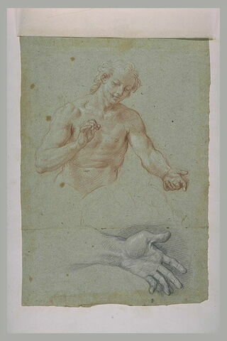 Etudes d'une demi-figure d'homme nu, et d'une main, image 1/1