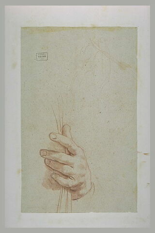 Etude d'une main tenant un objet et croquis d'une main tenant un roseau, image 1/1