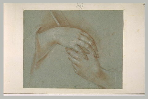 Deux mains tenant un morceau de bois, image 2/2