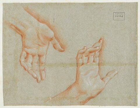 Deux mains ouvertes, image 1/2