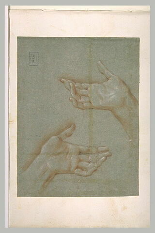 Deux mains ouvertes, image 2/2