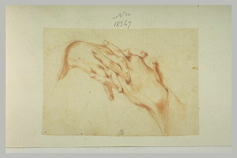 Deux mains enlacées, image 1/1