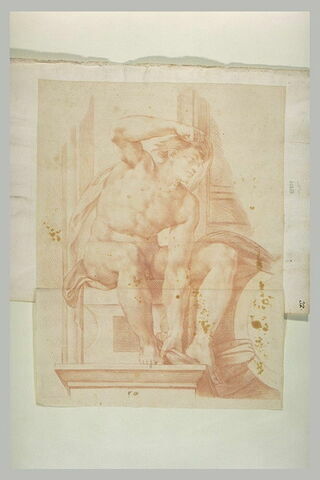 Ignudo, image 1/1