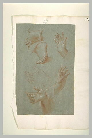 Etudes d'un pied et de cinq mains, image 1/1