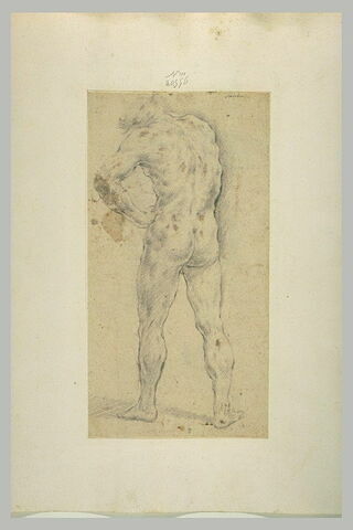 Homme nu, debout, de dos, main gauche sur la hanche, image 1/1