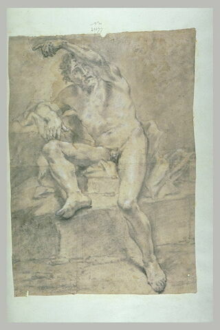 Homme nu, assis, de face, le bras gauche tendu vers la gauche, image 1/1