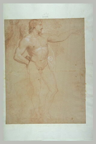 Homme nu, debout, de face, bras gauche tendu, image 1/1