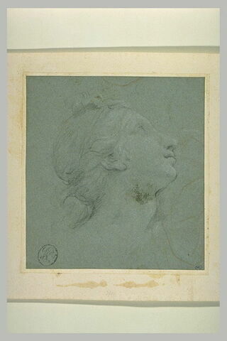 Profil de femme, coiffée à l'antique, levant les yeux, image 1/1
