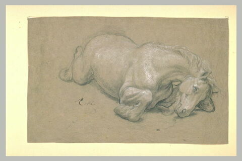 Cheval mort, image 2/2