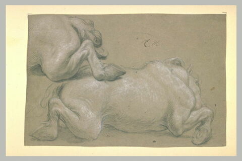 Chevaux couchés, image 2/2