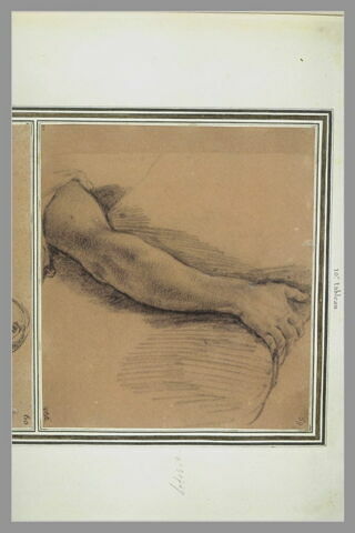 Etude d'un bras : étude pour le dixième tableau de la vie de saint Bruno, image 2/2