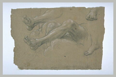 Jambes nues d'un homme couché, et trois pieds, image 1/1