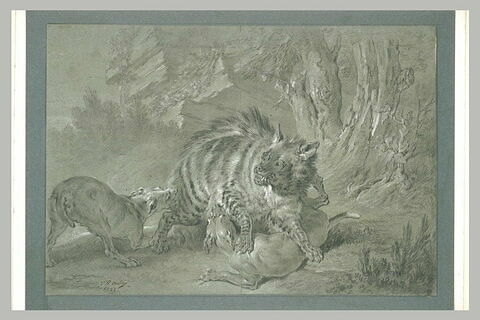 Une hyène poursuivie par des chiens, image 2/2