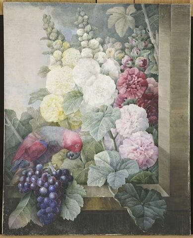 Fleurs : roses trémières, raisins, et le lori cramoisi, image 1/1