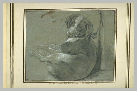 Portrait du chien appelé Chimène, fait par son maître en 1775