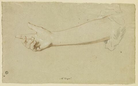Main de femme à demi-fermée, vue en dessous avec l'avant-bras, image 1/2