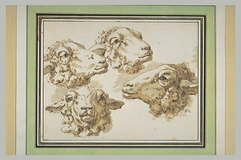 Quatre têtes de moutons