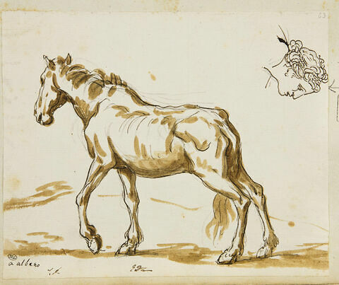 Cheval et tête de femme, image 1/2