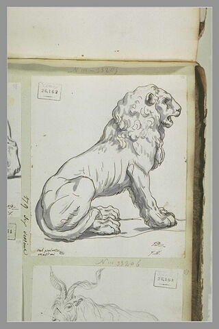 Un lion assis sur ses pattes de derrière, vu de profil, image 2/2