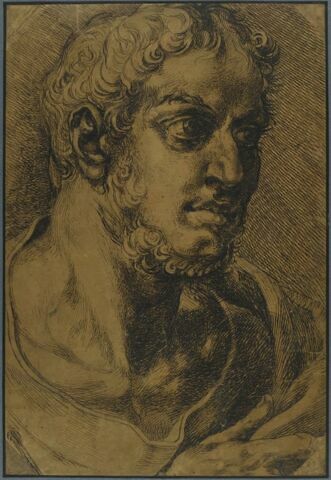 Homme barbu vu en buste, de trois quarts vers la droite, image 1/2