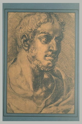Homme barbu vu en buste, de trois quarts vers la droite, image 2/2