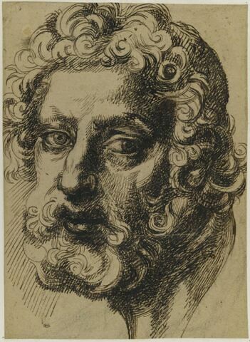Tête d'homme, image 1/2