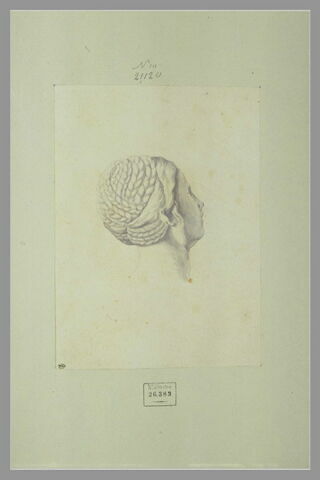 Tête de femme, d'après l'antique, les cheveux nattés, de profil perdu, image 1/1