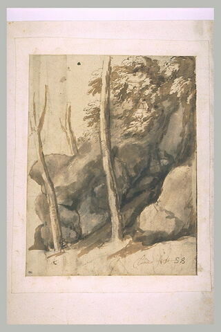 Etude d'un rocher couvert d'arbustes et de feuilles, image 2/2