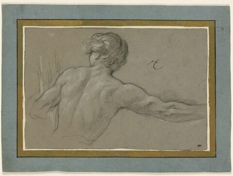 Jeune homme, à mi-corps, vu de dos, image 1/2
