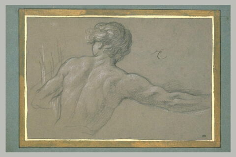 Jeune homme, à mi-corps, vu de dos, image 2/2