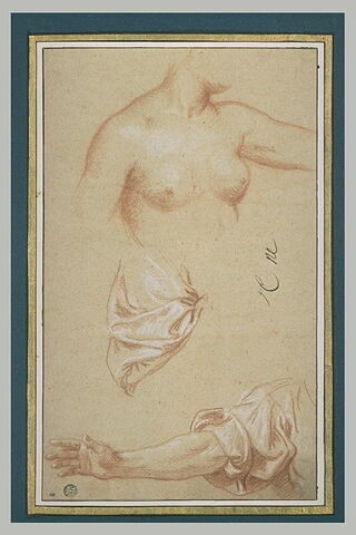 Femme nue, en buste. Draperie. Bras drapé, image 1/1