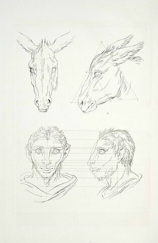 Deux têtes d'âne et deux têtes d'homme en relation avec l'âne, image 2/2