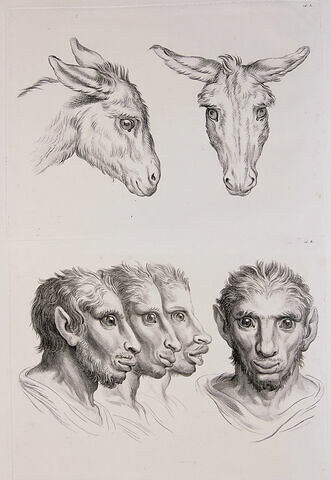 Deux têtes d'âne et quatre têtes d'hommes en relation avec l'âne.