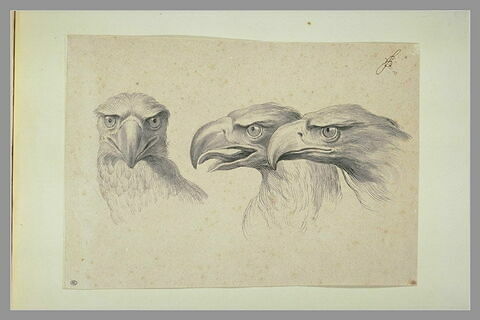 Trois têtes d'aigles, image 2/3