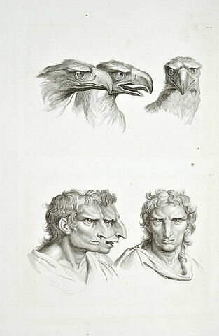 Trois têtes d'aigle et trois têtes d'hommes en relation avec l'aigle, image 2/2