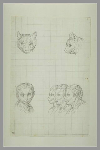 Deux têtes de chat et quatre têtes d'hommes en relation avec le chat, image 2/2