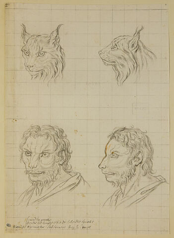 Deux têtes de loup-cervier et deux têtes d'hommes en relation avec l'animal